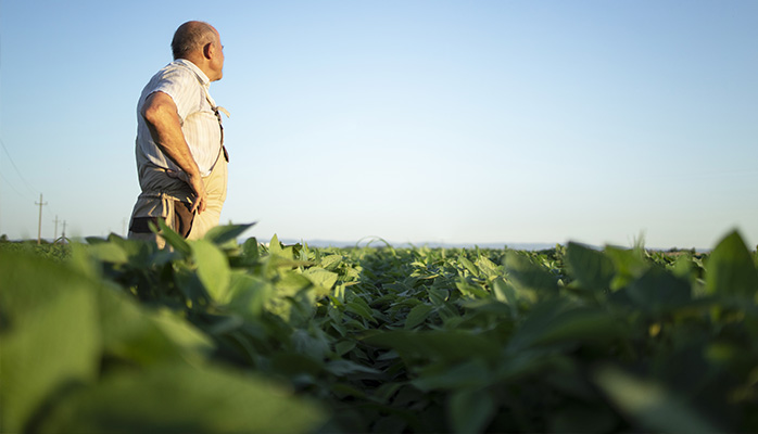 Le bail rural peut-il être verbal ?