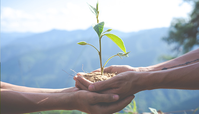 La transmission du bail rural en cas de décès du preneur