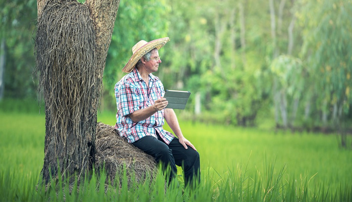 Peut-on céder un bail rural ?