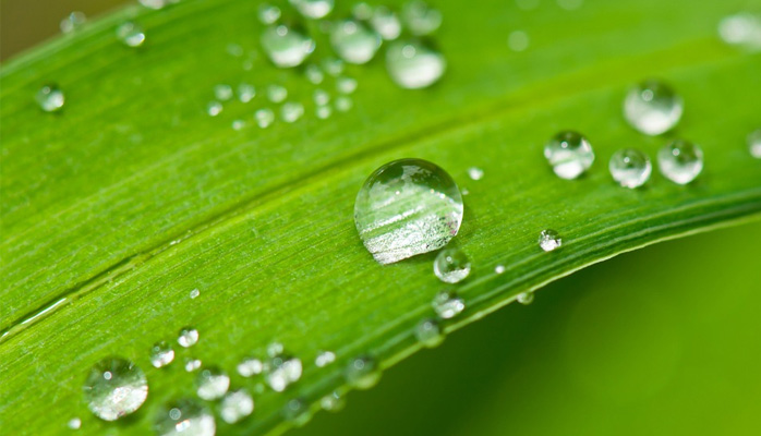 Produits bio : Quelle réglementation à respecter pour l'agriculteur ?