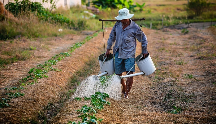 Répétition de l'indu en matière de bail rural