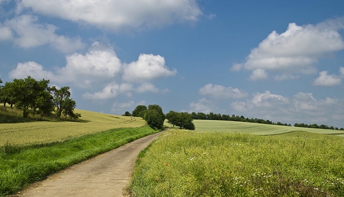 Droit rural : affichage de la décision de préemption de la Safer en mairie