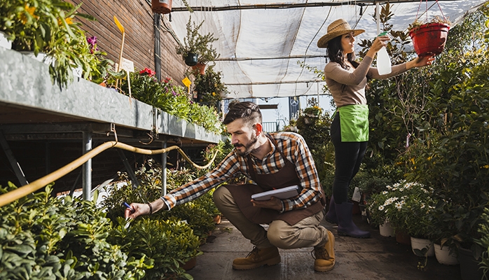 Une société coopérative agricole constituée avant le 1er juillet 1978, et non immatriculée avant le 1er novembre 2002, perd sa personnalité morale